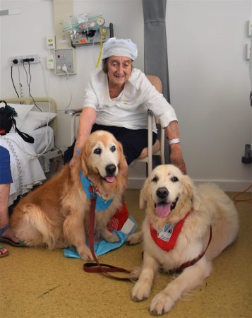 Woman with two golden retrivers