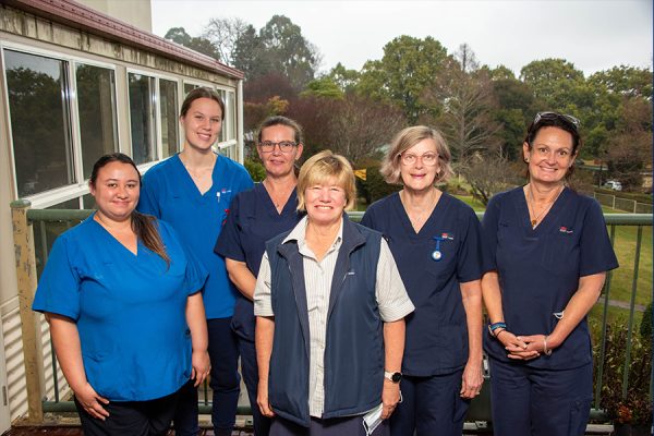 Six female nurses standing side by side